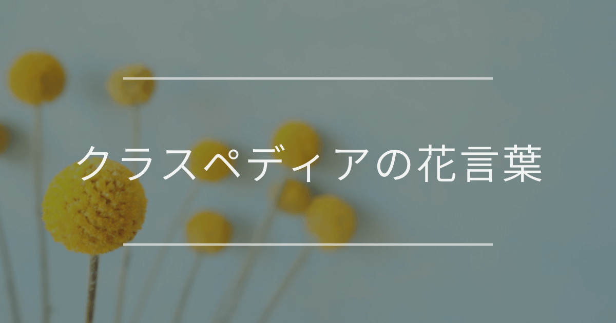 クラスペディアの花言葉