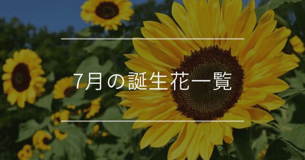7月の誕生花一覧｜誕生月と誕生日の花言葉