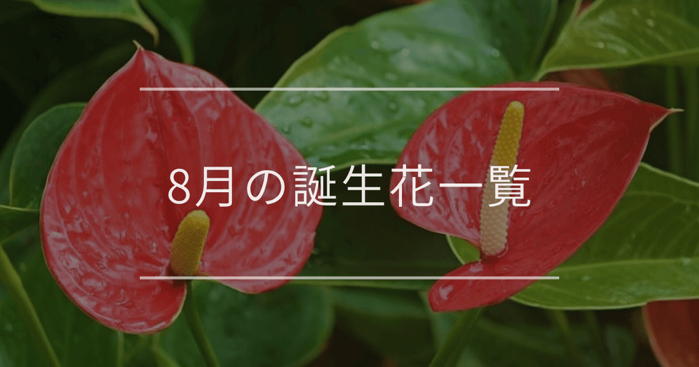 8月の誕生花一覧｜誕生月と誕生日の花言葉