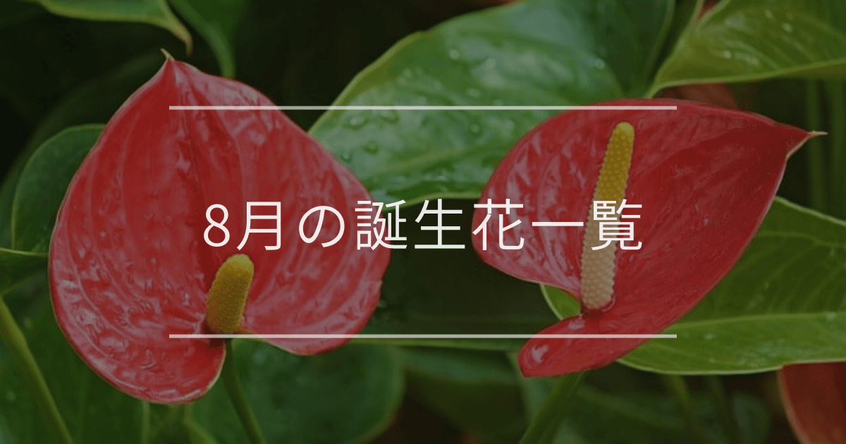 8月の誕生花一覧