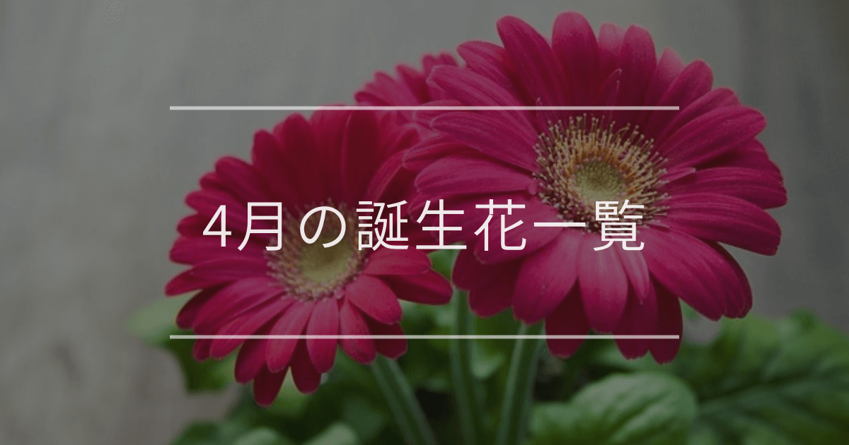 4月の誕生花一覧