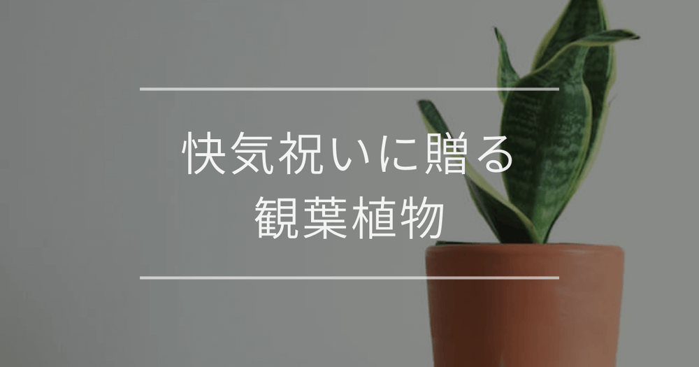 快気祝いに贈る観葉植物｜おすすめとマナー