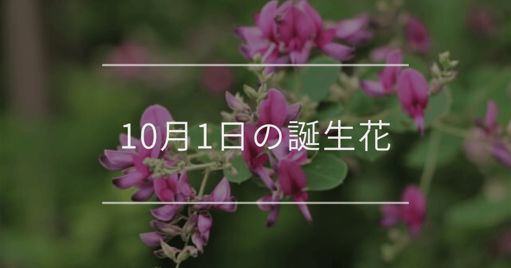 10月1日の誕生花：ハギ・モミジアオイの花言葉など