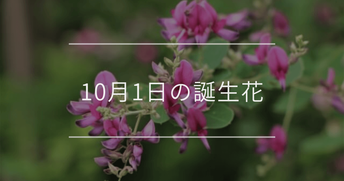 10月1日の誕生花：ハギ・モミジアオイの花言葉など | 観葉植物・お花の