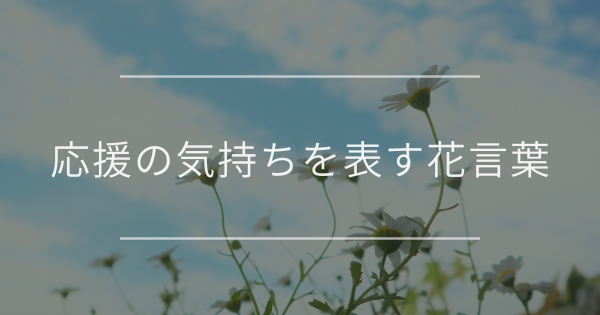 応援の気持ちを表す花言葉