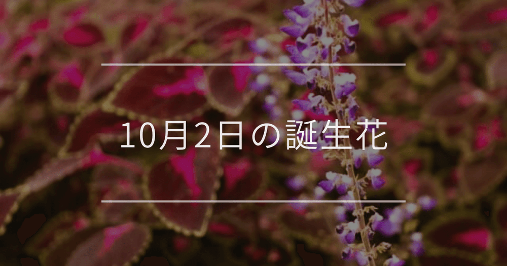 10月2日の誕生花：コリウス・アンズ(杏)の花言葉など