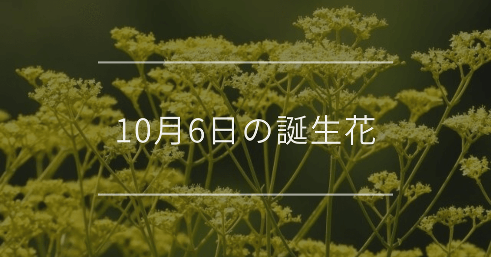 10月6日の誕生花：オミナエシ・ヤブランの花言葉など