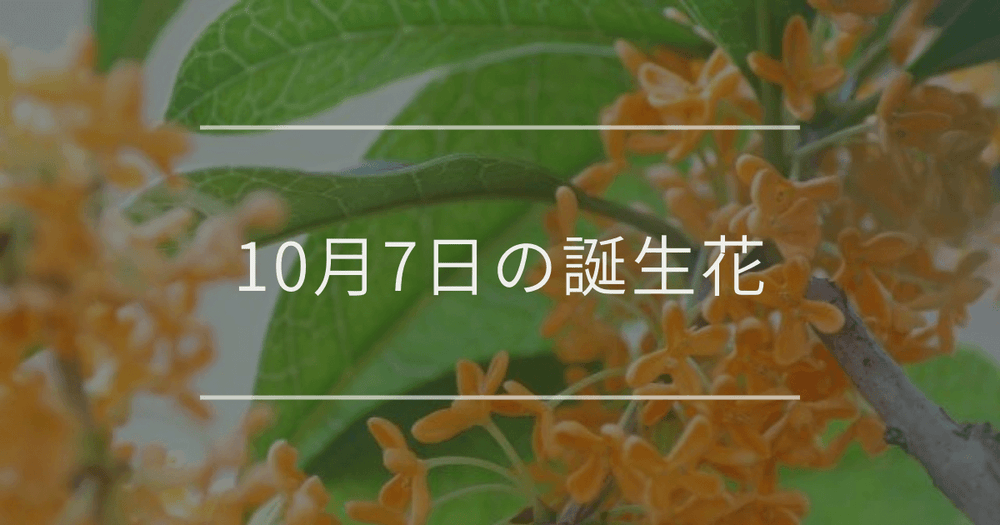 10月7日の誕生花：キンモクセイ・ミニバラの花言葉など