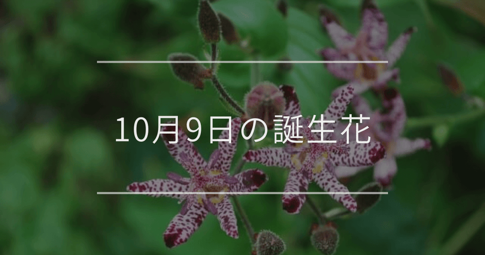 10月9日の誕生花：ホトトギス・オミナエシの花言葉など