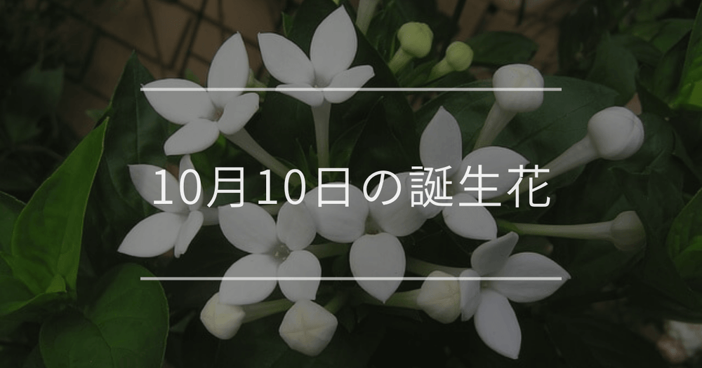 10月10日の誕生花：ブバルディア・サンビタリアの花言葉など