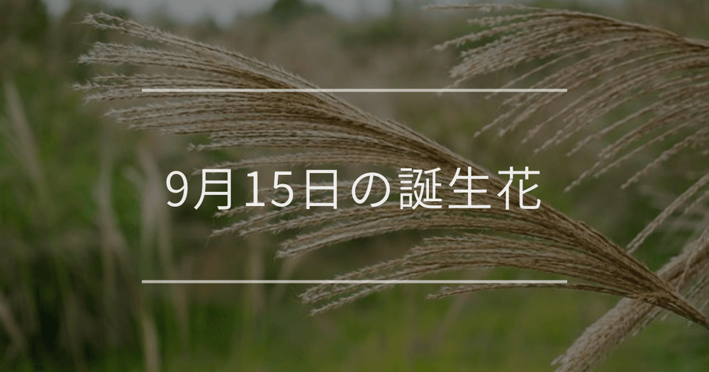 9月15日の誕生花：ススキ・赤いダリアの花言葉など