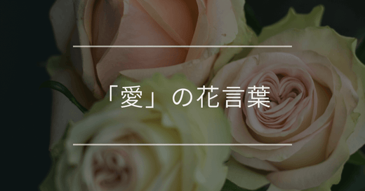 「愛」の花言葉を持つ植物