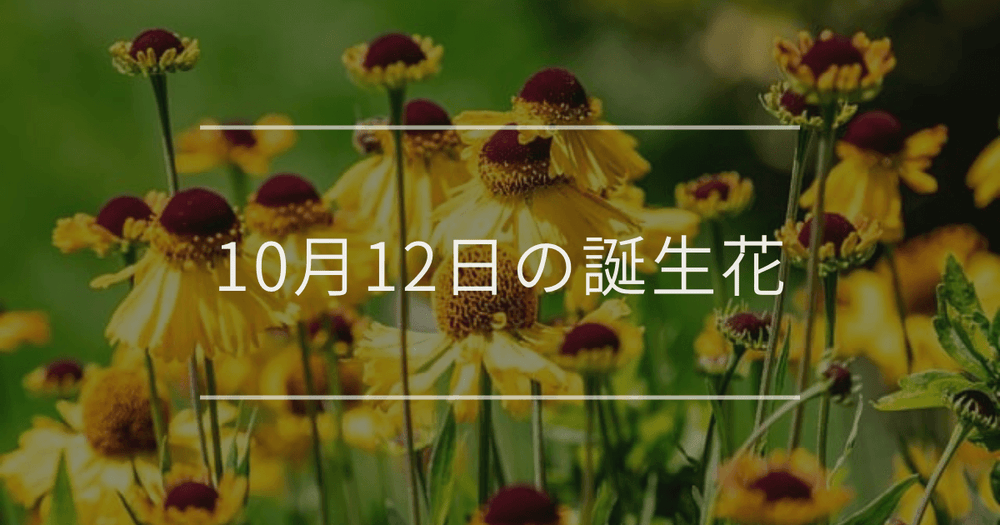 10月12日の誕生花：ヘレニウム・ガーベラの花言葉など