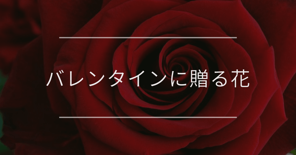 2025年フラワーバレンタインにあう花｜おすすめや花言葉