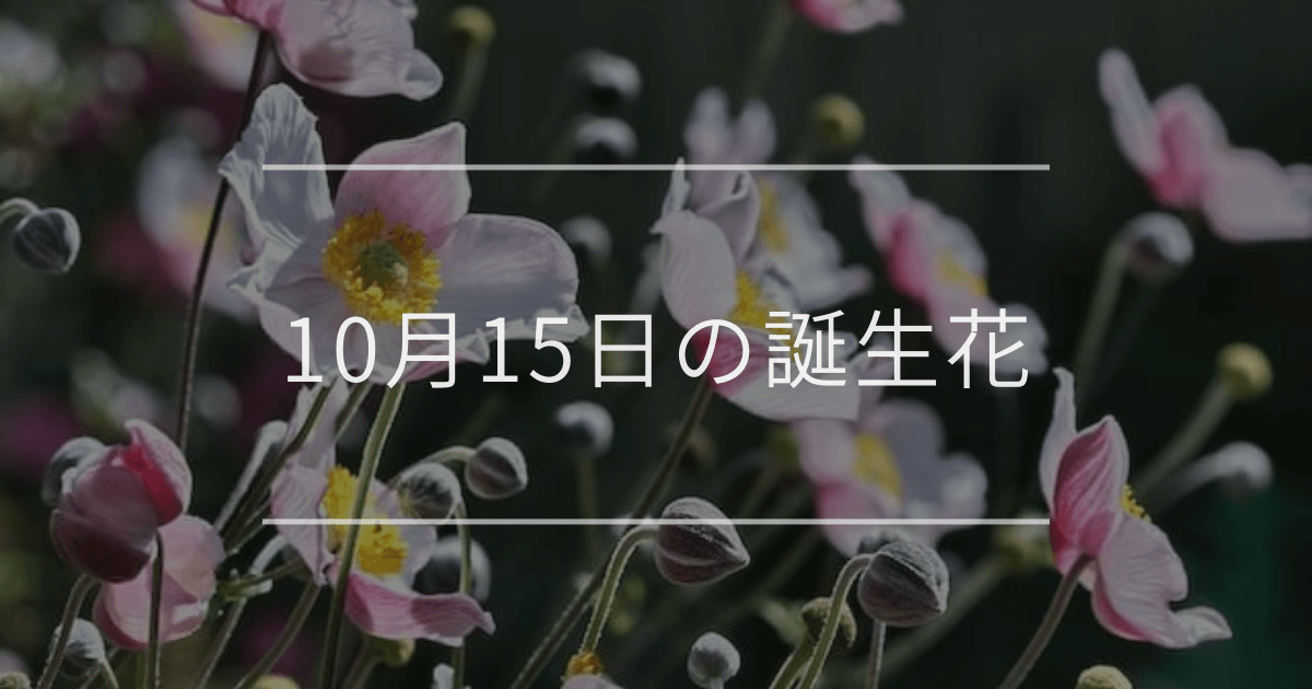 10月15日の誕生花：シュウメイギク・ミセバヤの花言葉など | 観葉植物