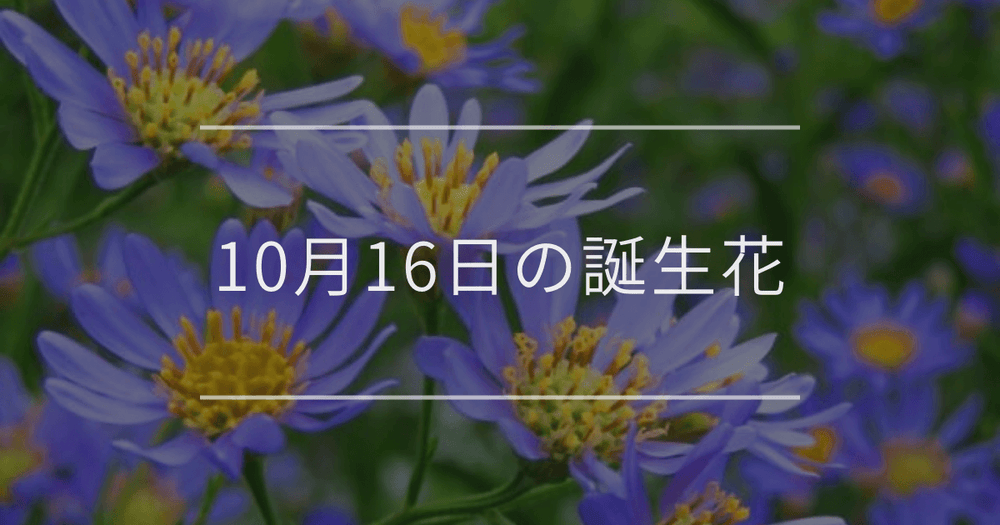 10月16日の誕生花：シオン・橙色のマリーゴールドの花言葉など