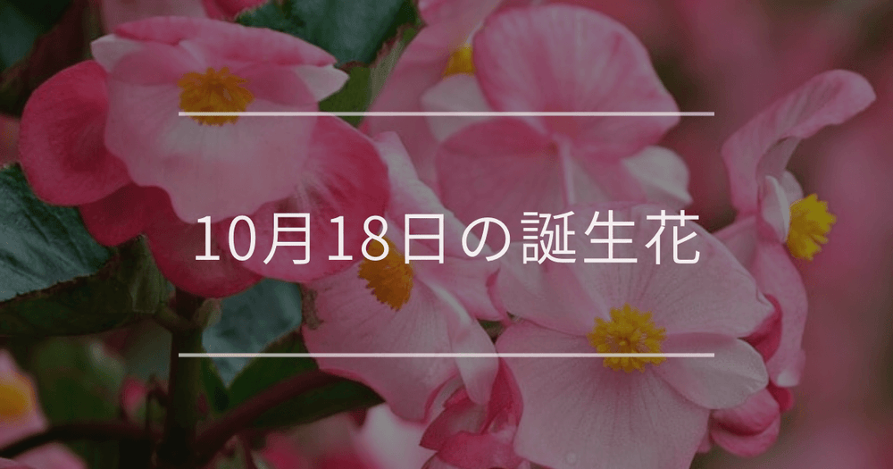 10月18日の誕生花：ベゴニア・メランポジウムの花言葉など