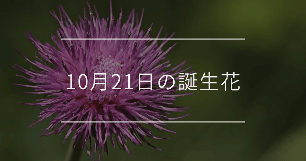 10月21日の誕生花：アザミ・ステルンベルギアの花言葉など