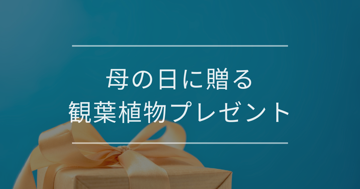 母の日に贈る観葉植物プレゼント