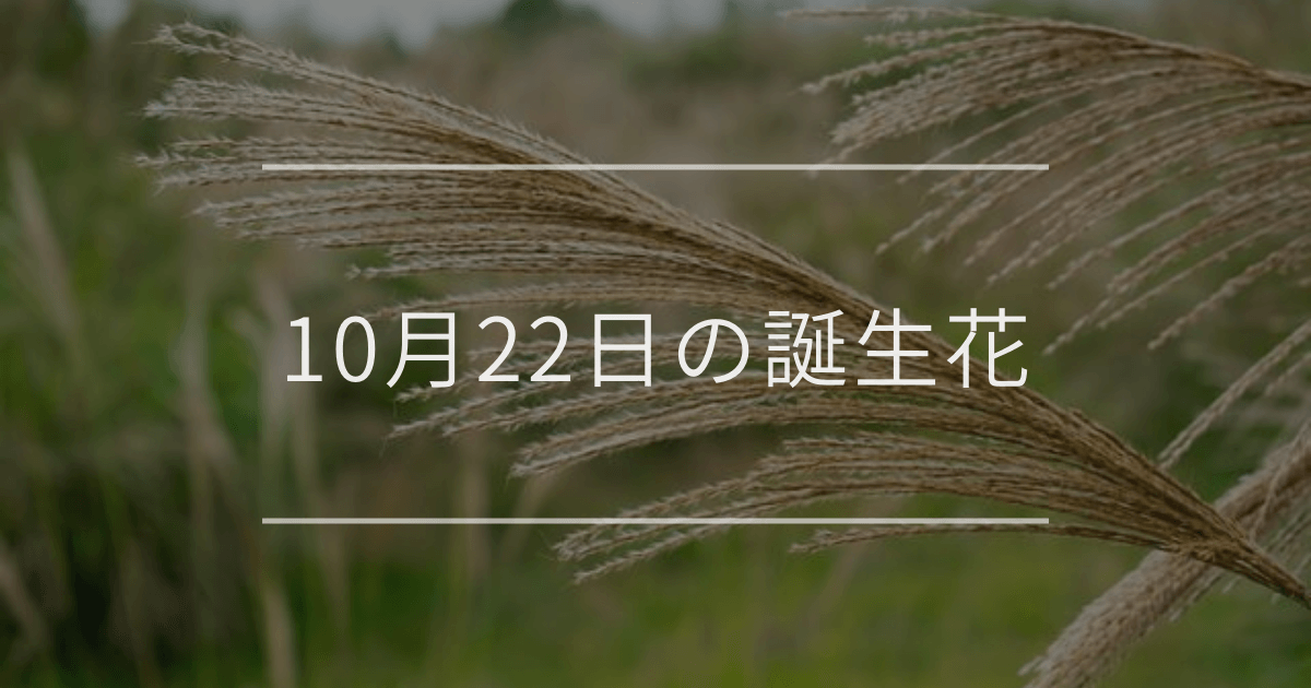 10月22日の誕生花