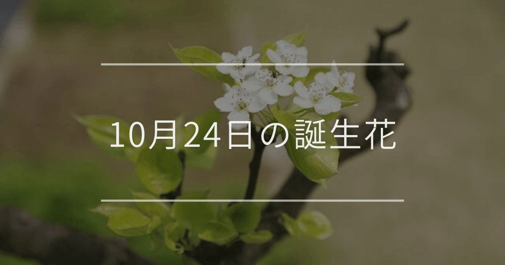 10月24日の誕生花：ウメ（梅）・アゲラタムの花言葉など