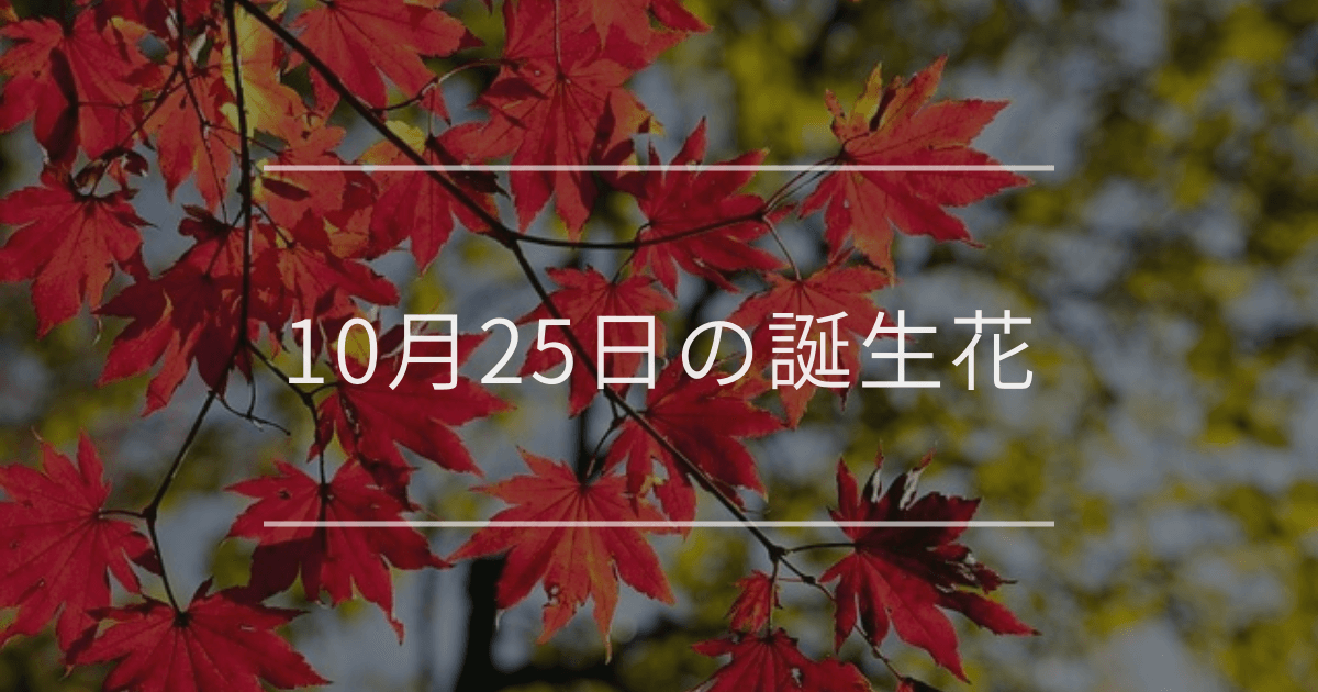 10月25日の誕生花