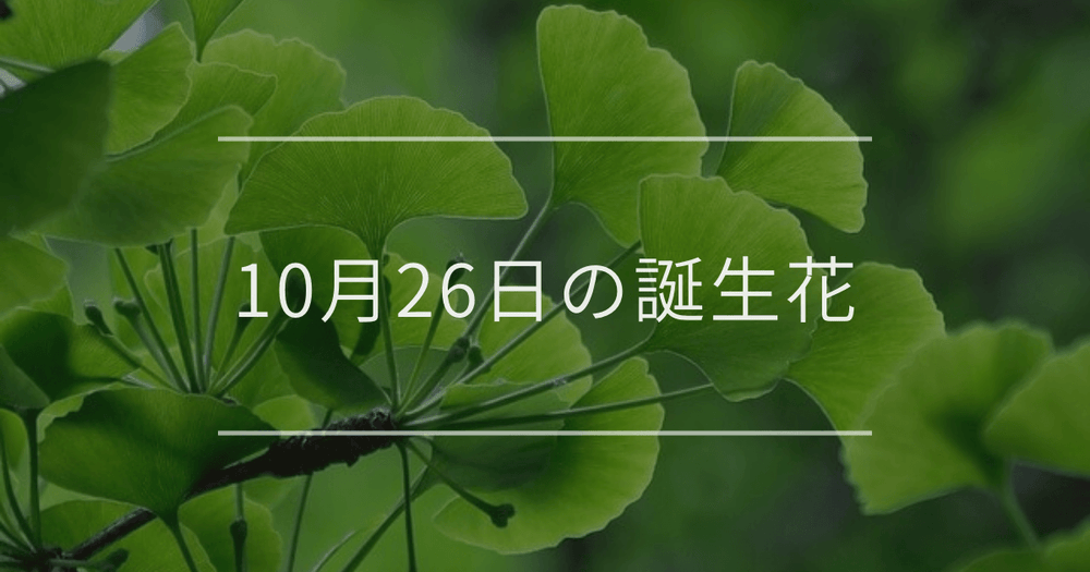 10月26日の誕生花：イチョウ・ヤブランの花言葉など