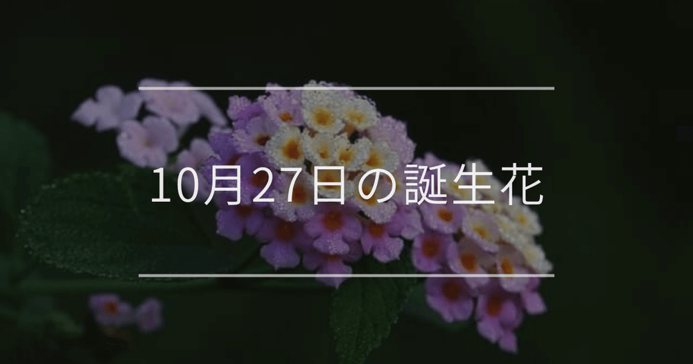 10月27日の誕生花：ランタナ・チョコレートコスモスの花言葉など