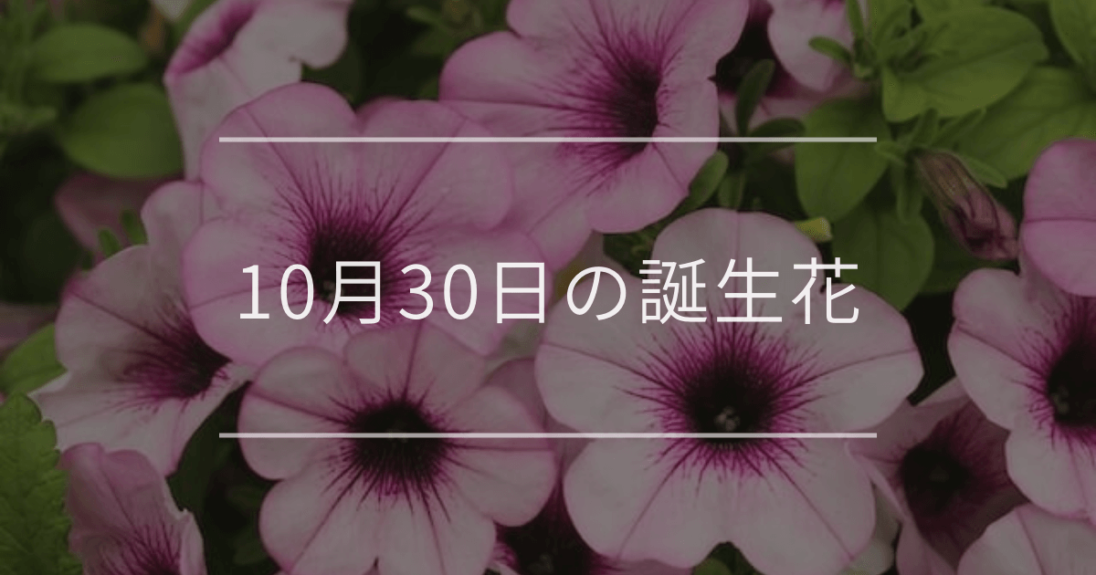 10月30日の誕生花