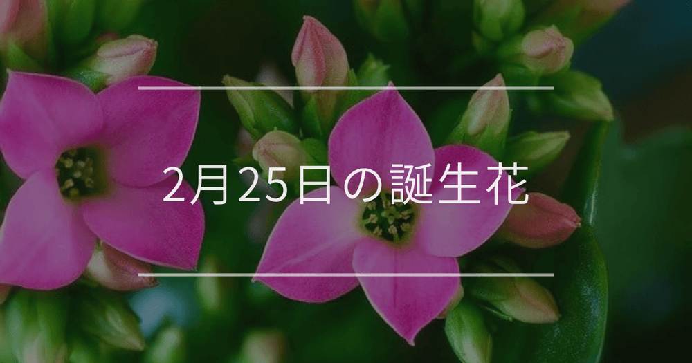 2月25日の誕生花：カランコエ・ラナンキュラスの花言葉