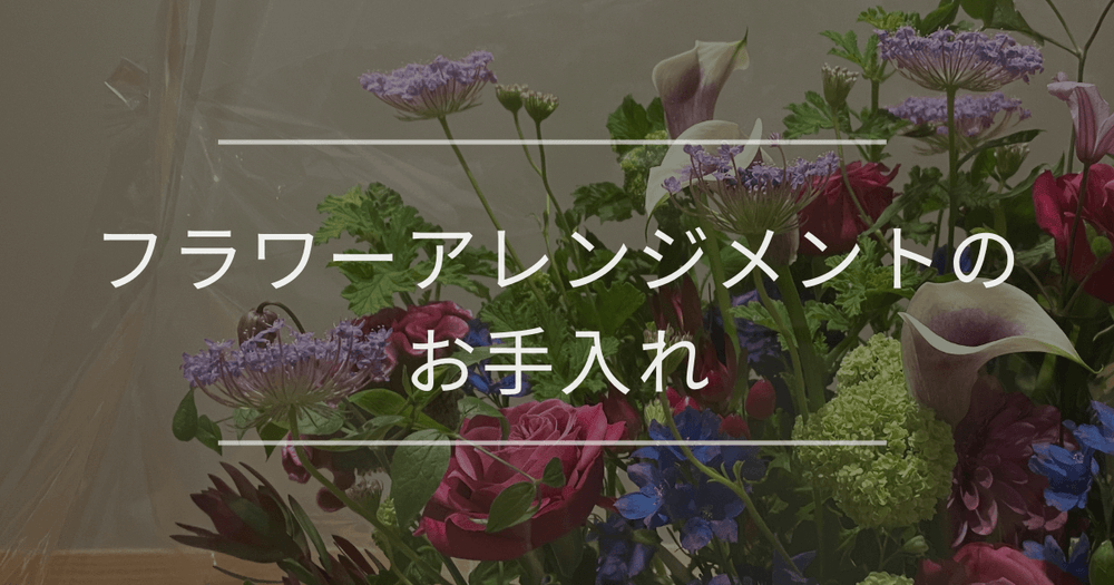 フラワーアレンジメントのお手入れ｜水やりの仕方や長持ちさせる方法