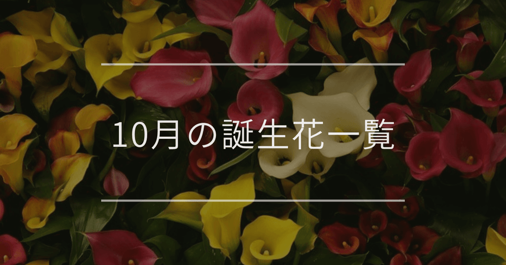 10月の誕生花一覧｜誕生月と誕生日の花言葉