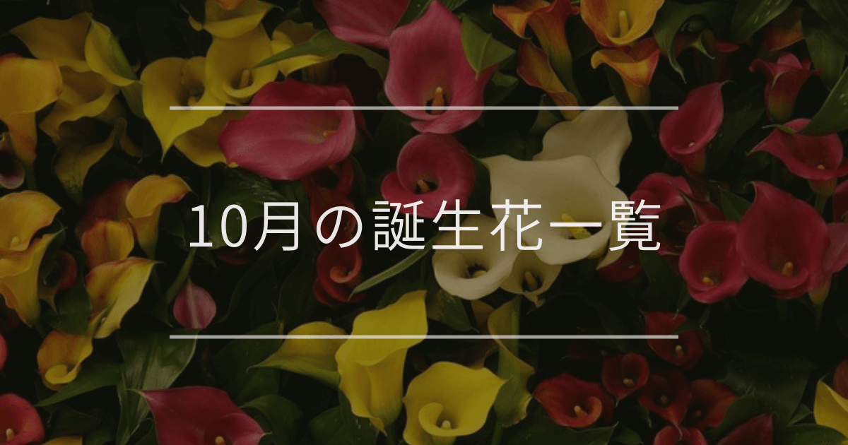 10月の誕生花一覧