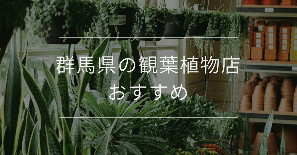 群馬県の観葉植物店おすすめ