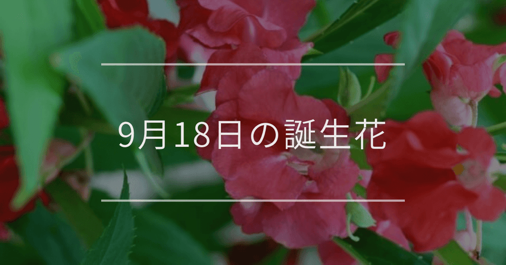 9月18日の誕生花：ホウセンカ・アザミの花言葉など