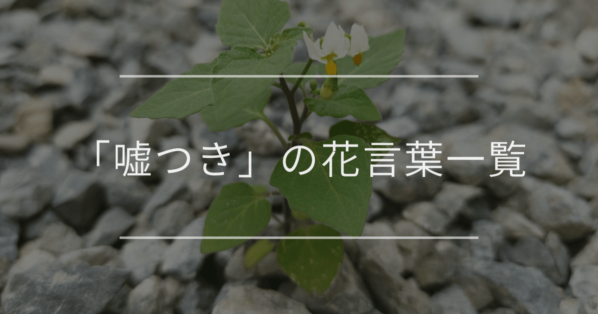 「嘘つき」の花言葉一覧