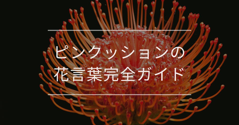 ピンクッションの花言葉完全ガイド｜色別の意味や由来も解説