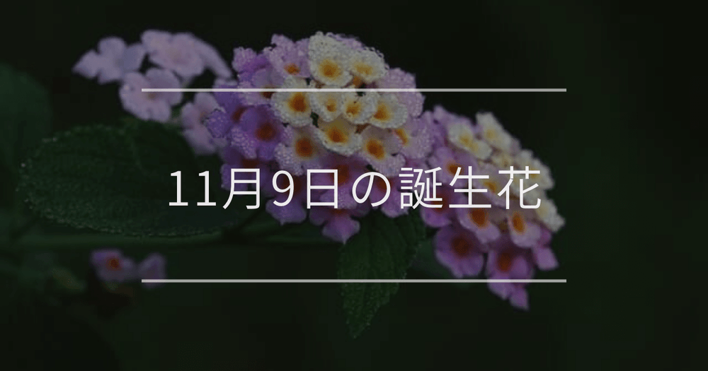 11月9日の誕生花：ランタナ・ハナキリンの花言葉など