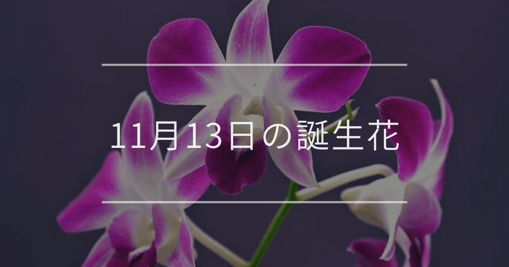 11月13日の誕生花：デンドロビウム・ナナカマドの花言葉など