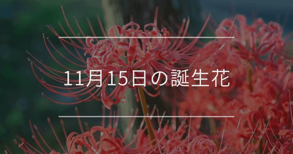 11月15日の誕生花：ヒガンバナ・オレンジ色のバラの花言葉など