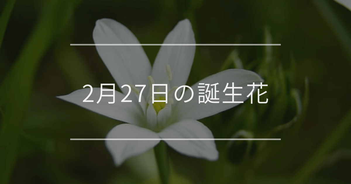 2月27日の誕生花