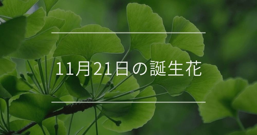 11月21日の誕生花：イチョウ・ベルフラワーの花言葉など