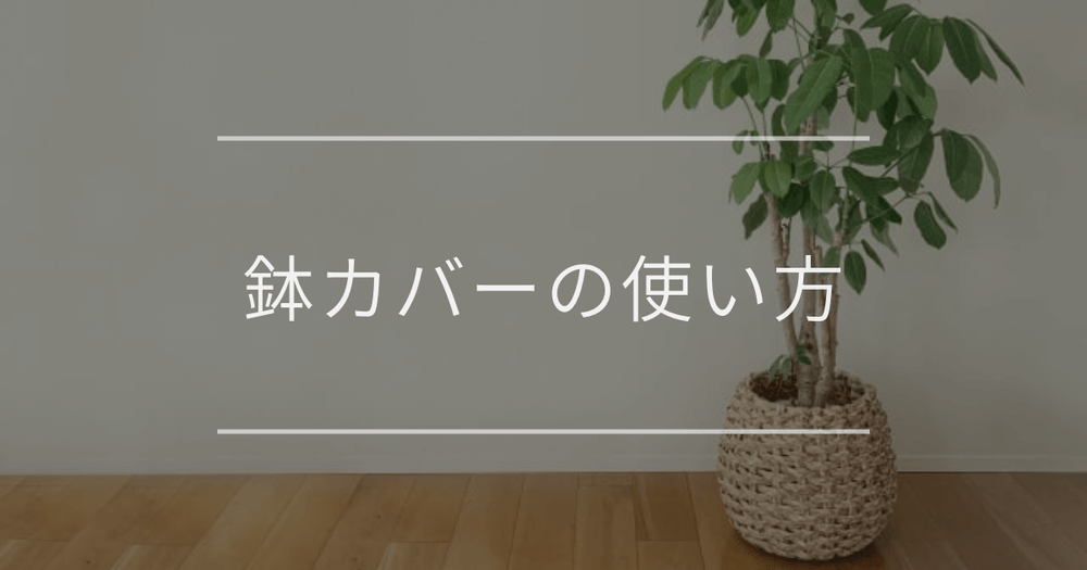 鉢カバーの使い方｜メリットや注意点について