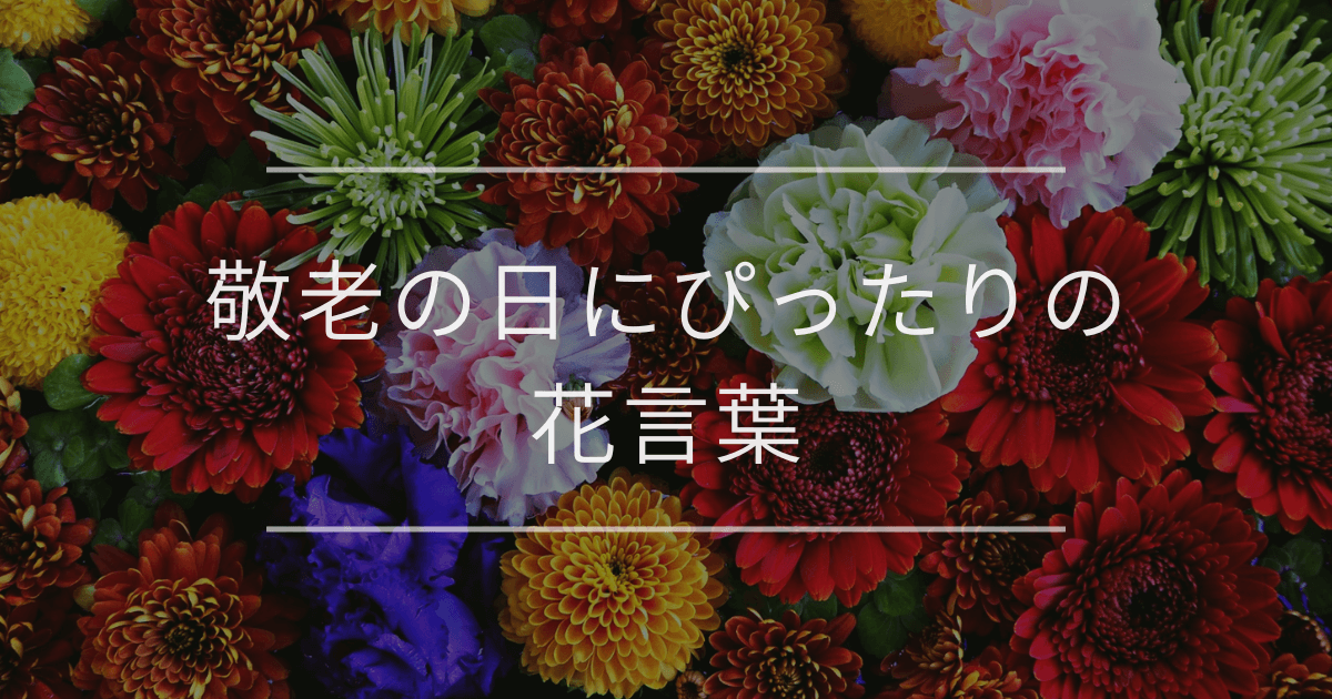 敬老の日にぴったりの花言葉