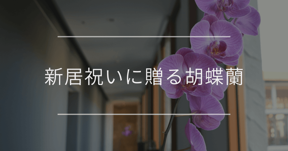 新居祝いに贈る胡蝶蘭｜選び方とマナー