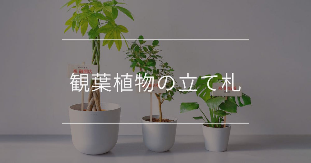 観葉植物の立て札｜書き方やマナーについて