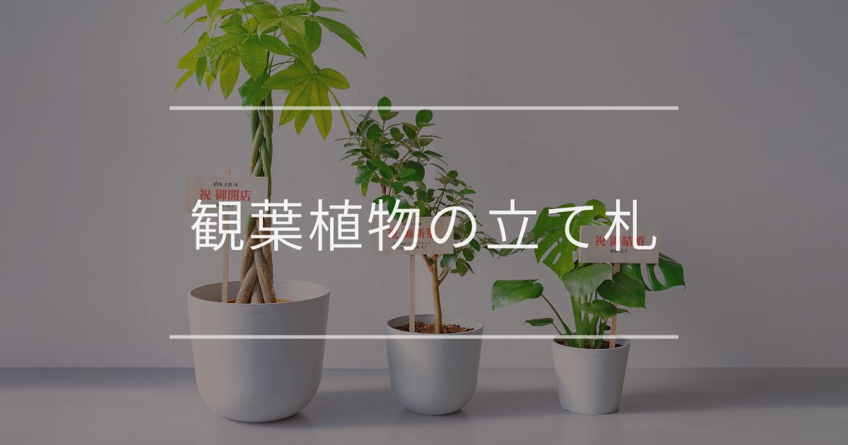 観葉植物の立て札｜書き方やマナーについて | 観葉植物・お花の通販