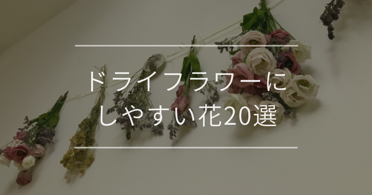 ドライフラワーにしやすい花20選|作り方や飾り方も解説 | 観葉植物 ドライフラワーにしやすい花20選|作り方や飾り方も解説 | 観葉植物