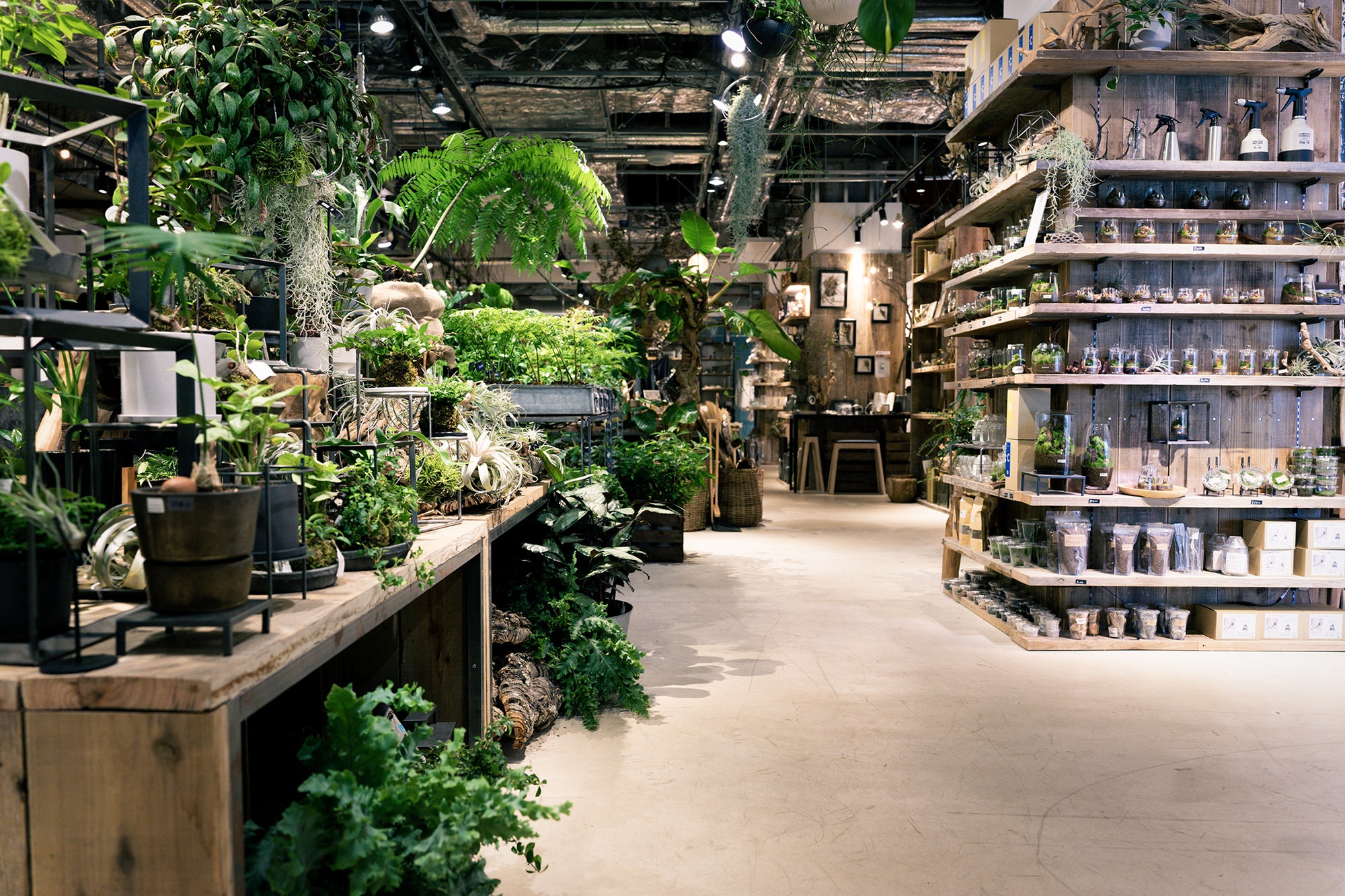ライフスタイル×グリーン！東京駅直結の園芸店『garage TOKYO』で見つける新しい植物との暮らし