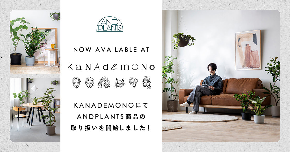 KANADEMONOでAND PLANTSの植物の取り扱いが開始 | 観葉植物・お花の